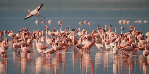 Leiderschapsreis Tanzania