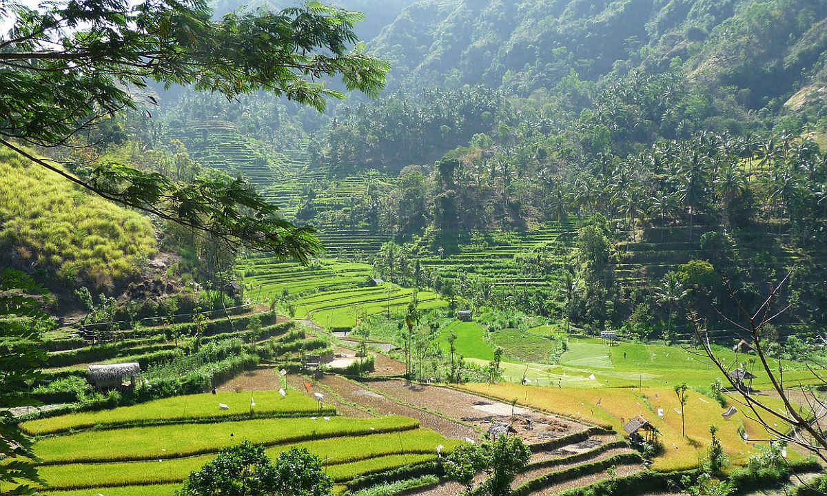Coaching reis voor ZZP’ers in Indonesië - indonesie92