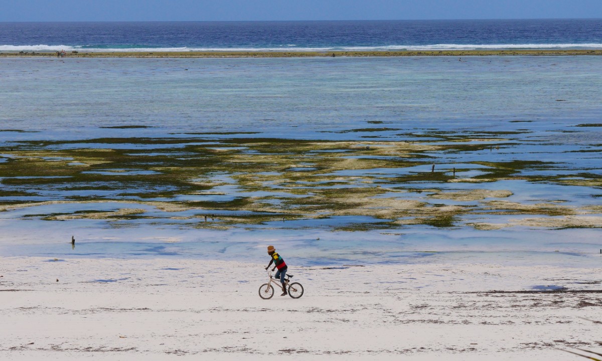 Ondernemers retraite Zanzibar - 1200 bestand 1