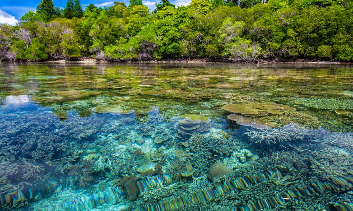 Persoonlijk leiderschap voor hooggevoelige professionals Indonesië - indonesie8.